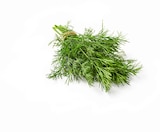 Dill im Angebot bei Lidl in Paderborn Dill Angebote bei Lidl Paderborn für 1,39 €