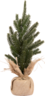 Kunstblume Weihnachtsbaum Angebote bei KiK Koblenz für 3,99 €