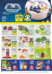 diska Kartoffeln im Prospekt 