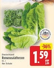 Romasalatherzen für 1,59 € bei E center im Angebot Romasalatherzen im aktuellen E center Prospekt