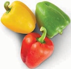 Paprika Mix Angebote bei nah&frisch Münster für 1,77 €