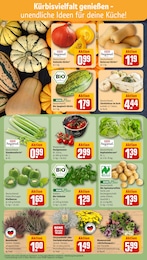Pflanzen Angebot & Preis im aktuellen REWE Prospekt Pflanzen Angebot im aktuellen REWE Prospekt auf Seite 5