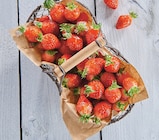 Intermarché Contact Bandol - Promo Fraise gariguette label rouge Promo Fraise gariguette label rouge à 3,29 € dans le catalogue Intermarché Contact à Bandol