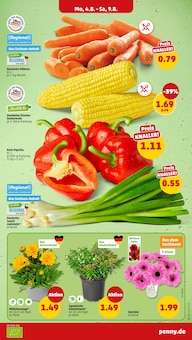 Rote Paprika Angebot im aktuellen Penny Prospekt auf Seite 3
