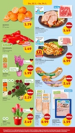 Penny Blumen im Prospekt 