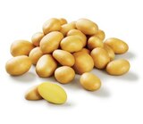Lidl Montpon-Ménestérol - Promo Pomme de terre amandine Promo Pomme de terre amandine à 1,95 € dans le catalogue Lidl à Montpon-Ménestérol