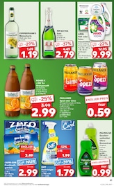 Hohes C im Kaufland Prospekt in Neubrandenburg Aktueller Kaufland Prospekt mit Hohes C, "Aktuelle Angebote", Seite 41