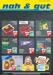 nah und gut Supermarkt Prospekt der aktuellen Woche mit 8 Seiten, gültig von 03.08.2026 bis 08.08.2026, in Waigolshausen und Umgebung Aktueller nah und gut Supermarkt Prospekt in Waigolshausen und Umgebung, "Wir lieben Lebensmittel!" mit 8 Seiten, 03.08.2026 - 08.08.2026