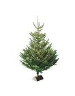 SAPIN NORDMANN COUPÉ 150/175 CM AVEC BÛCHE OFFERTE à Intermarché dans L'Estaque SAPIN NORDMANN COUPÉ 150/175 CM AVEC BÛCHE OFFERTE à Intermarché dans L'Estaque