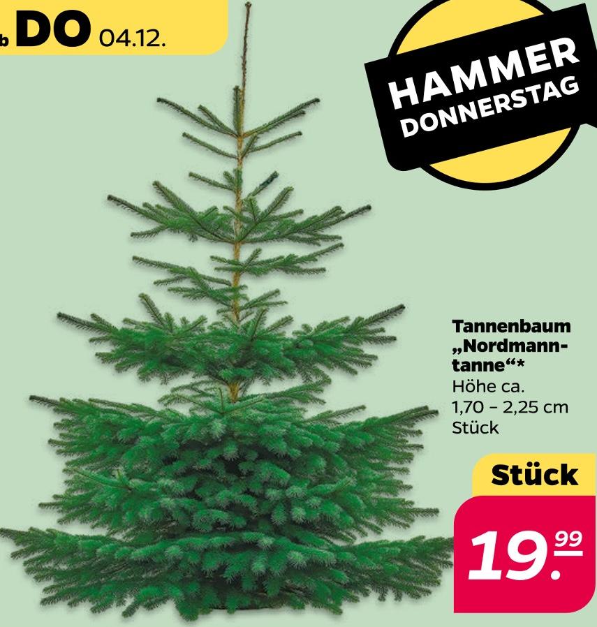 Tannenbaum Nordmanntanne