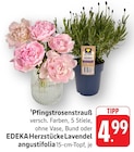 Herzstücke Lavendel angustifolia Angebote von EDEKA bei E center Freiburg für 4,99 €