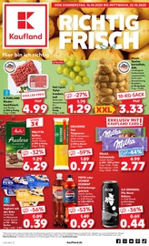 Kaufland Supermarkt Prospekt der aktuellen Woche mit 64 Seiten, gültig von 16.10.2025 bis 22.10.2025, in Leezen und Umgebung Aktueller Kaufland Supermarkt Prospekt in Leezen und Umgebung, "Aktuelle Angebote" mit 64 Seiten, 16.10.2025 - 22.10.2025