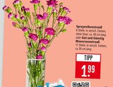 Spraynelkenstrauß im Angebot bei Marktkauf in Waiblingen Spraynelkenstrauß Angebote bei Marktkauf Waiblingen für 1,99 €