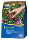 Aktuelle Gartenerde Angebote bei OBI in Remscheid Aktuelles Blumenwiese-Mischung Angebot bei OBI in Remscheid ab 9,99 €