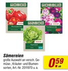 Sämereien Angebote bei toom Baumarkt Dresden für 0,59 €