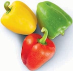 Paprika Mix bei Markant Nordwest im Bielefeld Prospekt für 1,77 €