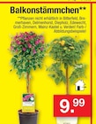Zimmermann Halberstadt Prospekt mit  im Angebot für 9,99 €