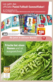 Handy im aktuellen REWE Prospekt (Offenbach (Main)) Handy im REWE Prospekt "Dein Markt" mit 34 Seiten (Offenbach (Main))