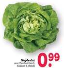 Aktuelles Kopfsalat Angebot bei E center in Mannheim ab 0,99 €
