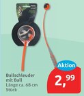 Ballschleuder mit Ball für 2,99 € bei budni im Angebot Ballschleuder mit Ball im aktuellen budni Prospekt