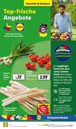 Lidl Cocktailtomaten im Prospekt 