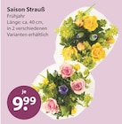 Saison Strauß Frühjahr von  im aktuellen V-Markt Prospekt für 9,99 €