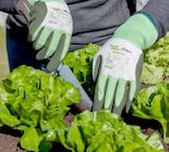 ZG Raiffeisen Schopfheim - Feinstrickhandschuh Allround Angebot im Prospekt Feinstrickhandschuh Allround bei ZG Raiffeisen im Schopfheim Prospekt für 3,99 €
