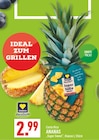 Aktuelle Ananas Angebote bei Marktkauf in Bielefeld Aktuelles ANANAS Angebot bei Marktkauf in Bielefeld ab 2,99 €