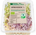 Sprossen Angebote von REWE Bio bei REWE Halberstadt für 1,29 €