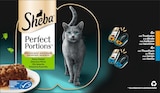 Nassfutter Katze Truthahn & Thunfisch in Sauce, perfect portions - feine Vielfalt, Multipack (16x37,5 g) im Angebot bei dm-drogerie markt in Mülheim Nassfutter Katze Truthahn & Thunfisch in Sauce, perfect portions - feine Vielfalt, Multipack (16x37,5 g) Angebote von Sheba bei dm-drogerie markt Mülheim für 6,45 €