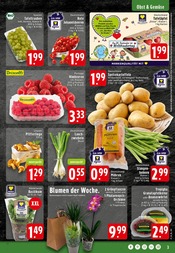 Aktueller EDEKA Prospekt mit Kartoffeln, "Aktuelle Angebote", Seite 3