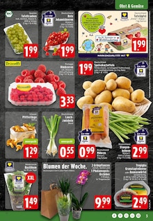 Pflanzen im aktuellen EDEKA Prospekt (Osnabrück) Pflanzen im EDEKA Prospekt "Aktuelle Angebote" mit 24 Seiten (Osnabrück)