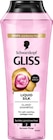 Shampoo im Rossmann Prospekt Shampoo von Schwarzkopf Gliss im aktuellen Rossmann Prospekt für 2,49 €