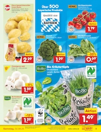 Speisefrühkartoffeln Angebot & Preis im aktuellen Netto Marken-Discount Prospekt Speisefrühkartoffeln Angebot im aktuellen Netto Marken-Discount Prospekt auf Seite 13