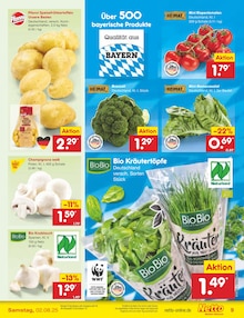 Pilze im Netto Marken-Discount Prospekt "Aktuelle Angebote" mit 65 Seiten (München)