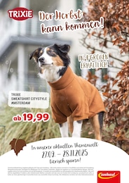 Zookauf Prospekt für Haar mit 1 Seite Zookauf Prospekt für Haar: "Der Herbst kann kommen!", 1 Seite, 27.09.2025 - 28.11.2025