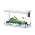 AQUATLANTIS-Aquarium d'eau froide et d'eau douce coloris blanc Aquatlantis Explorer Vienna 34 L - 35 x 50 x 25 cm en promo chez Botanic AQUATLANTIS-Aquarium d'eau froide et d'eau douce coloris blanc Aquatlantis Explorer Vienna 34 L - 35 x 50 x 25 cm dans le catalogue Botanic