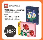 11508 Gänseblümchen bei V-Markt im Mainburg Prospekt für 10,99 €