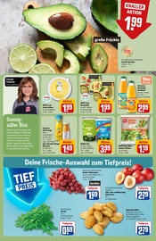 Salat im REWE Prospekt in Neuss Aktueller REWE Prospekt mit Salat, "Dein Markt", Seite 6