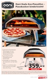 Pizza im Segmüller Prospekt "Garten Spezial" auf Seite 11