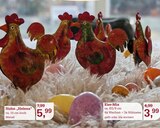 Aktuelles Huhn 'Helena' Angebot bei Garten-Center Nordharz GmbH & Co. KG in Hildesheim ab 3,99 €