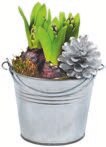 Aménagement Extérieur - GARDEN FEELINGS dans le catalogue Aldi Assortiment bulbes de fleurs - GARDEN FEELINGS à 4,99 € en promo chez Aldi