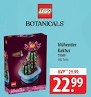 blühender Kaktus bei famila Nordost im Prospekt "" für 22,99 €