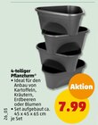 Pflanzturm Angebot in Bammental Pflanzturm im aktuellen Prospekt bei Penny-Markt in Bammental