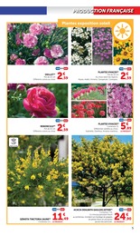 Offre Plante Vivace dans le catalogue Hyper U du moment à la page 5