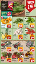 Ähnliche Glanzmispel Angebote im Prospekt "Dein Markt" von REWE in Hannover Ähnliche Angebote wie Glanzmispel im Prospekt "Dein Markt" auf Seite 9 von REWE in Hannover