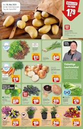 REWE Brombeeren im Prospekt 