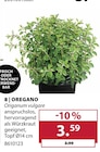 Oregano Angebote bei Dehner Garten-Center Remscheid für 3,59 €