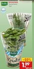 Kräutertöpfe von BioBio im aktuellen Netto Marken-Discount Prospekt für 1,29 €