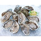 Huîtres FILIERE QUALITE CARREFOUR en promo chez Carrefour Malakoff à 16,99 €